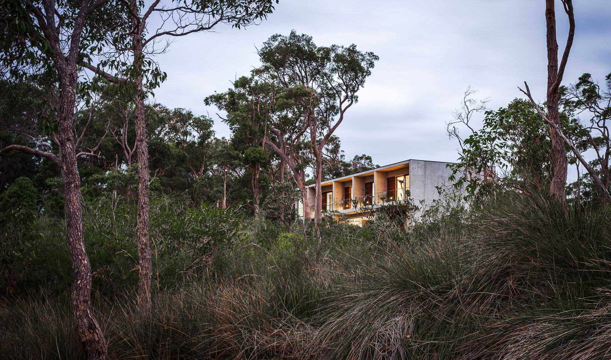 modern house in natural bush landscape